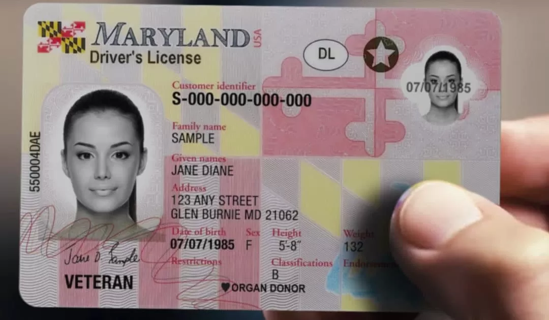 Acquista la patente di guida del Maryland