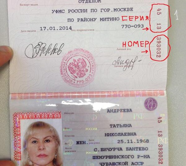серия и номер паспорта