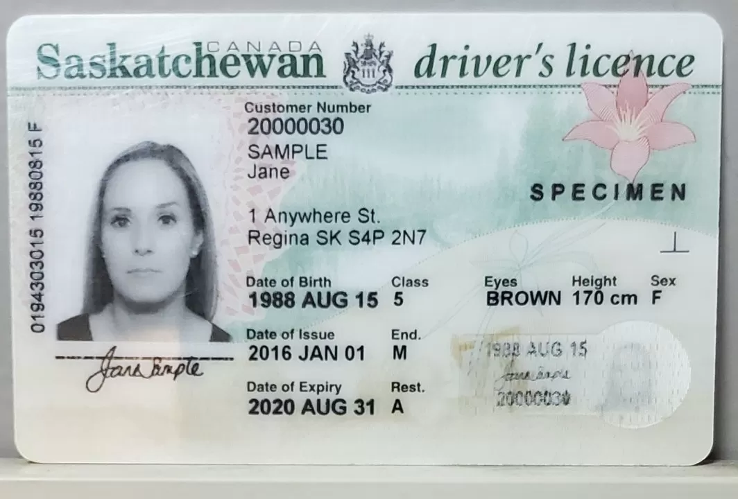 First, we all know that if you break the “road traffic act,” your German driver’s license suspended easily. Most at times, this can happen due to for the following reasons:Severe breach of speed restrictions.
Using cell phones while driving
Driving while under the influence of alcohol or drugs
Furthermore, the fines for these offenses may be different, but if you drive under the influence of alcohol or drugs, the authorities will size your license. In addition to having their driving privileges taken away for a certain amount of time, the offender may also have to pass an MPU test before they can drive again. With the MPU test, a person who broke a German traffic law has to go through a series of tests to show that they are mentally ready to get their German driving license back.In addition, the MPU test will require a urine test and other tests to show that the driver is no longer a drug addict. With all of these problems and more, you can help these drivers by giving our client the chance to get a German driver’s license and have their records changed. We are the best online service where you can buy a suspended German driver’s license because we have enough connections and know how the system works.How much does it cost to get a driving license in Germany?
When you buy an authentic German driving license, the price will depend on what kind of license you want and how much it costs to register it with the German transport authority. In addition, because the cost of registering a German driver’s license with the German transport authorities is not fixed, the cost of a German driver’s license changes slightly from week to week. The most common type of German driving license that we sell is category B. D L. This is mostly because the category B German driver’s license is the most needed license for everyday use.More so, when you buy an authentic German driver’s license from us, you can pay in a few different ways. We usually take bank transfers for the German driver’s license. In some cases, you can pay for your German driver’s license in parts as the process moves along. When you buy a German driver’s license and it is ready, we usually send it to your home address. It is important that you give us the right information, especially your shipping address, to avoid complications during delivery.How to buy a German driving license online
We make it very easy to get a German driver’s license that is registered. Once you find our website, there are many ways to get in touch with us online, such as through telegram, email, or the forms on the website. No matter how you reach out to us, our customer service staff is ready to help you. Secondly, when you talk to one of our customer service reps through our website, you just need to tell them what kind of German driver’s license you want to buy.In addition, it is important to explain your situation, like if your German driver’s license is suspended, if you need to pass an MPU test, if you have never taken a driving test, or if you failed either the theory or practical part of the test. After we understand your situation, we will tell you exactly what we need to give you the German driver’s license you bought. Moreover, once you place your order, you will get your German driver’s license within three to five days. contact us.