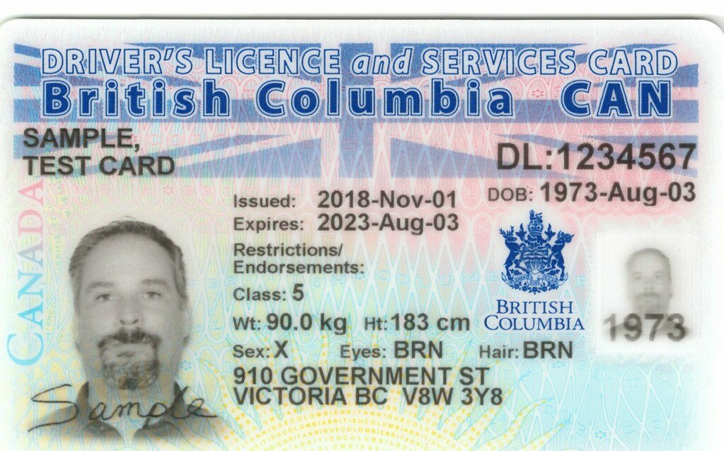 British Columbia drivers license​