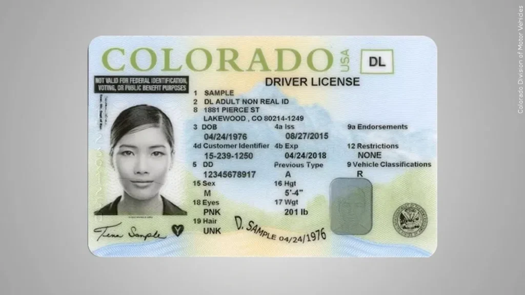 Colorado Driver’s License