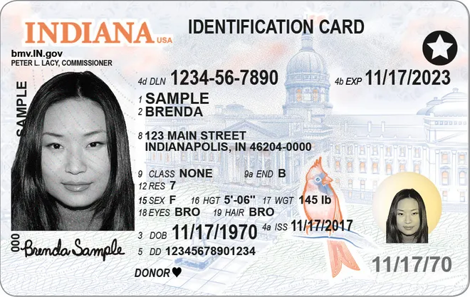  Indiana Driver’s License