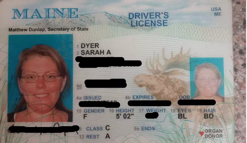 Maine driver’s license​