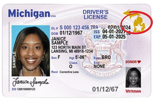 Michigan Driver’s License