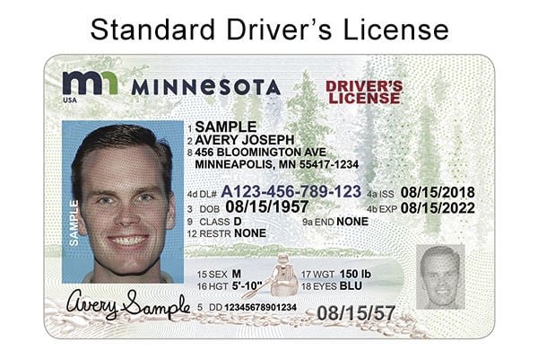 Minnesota Driver’s License